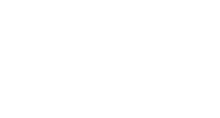 Polo Logo